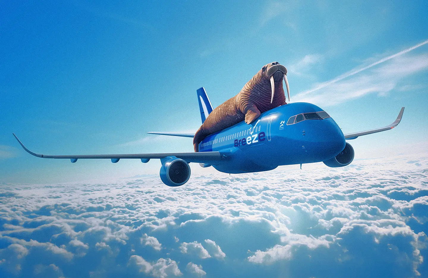 Breeze Airways Hires Walrus as its First Creative Agency - WALRUS